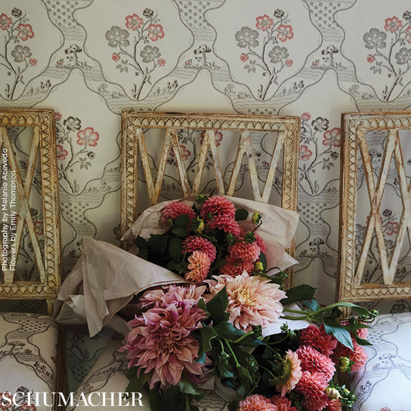 Marella gallery 2