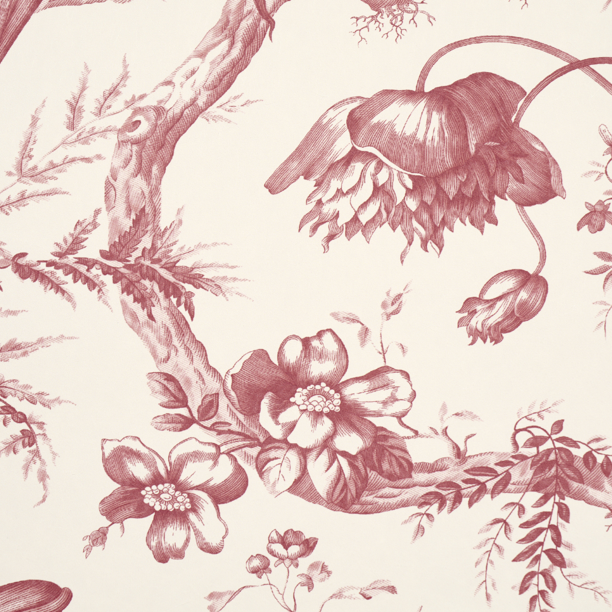 Toile De Fleurs gallery 3
