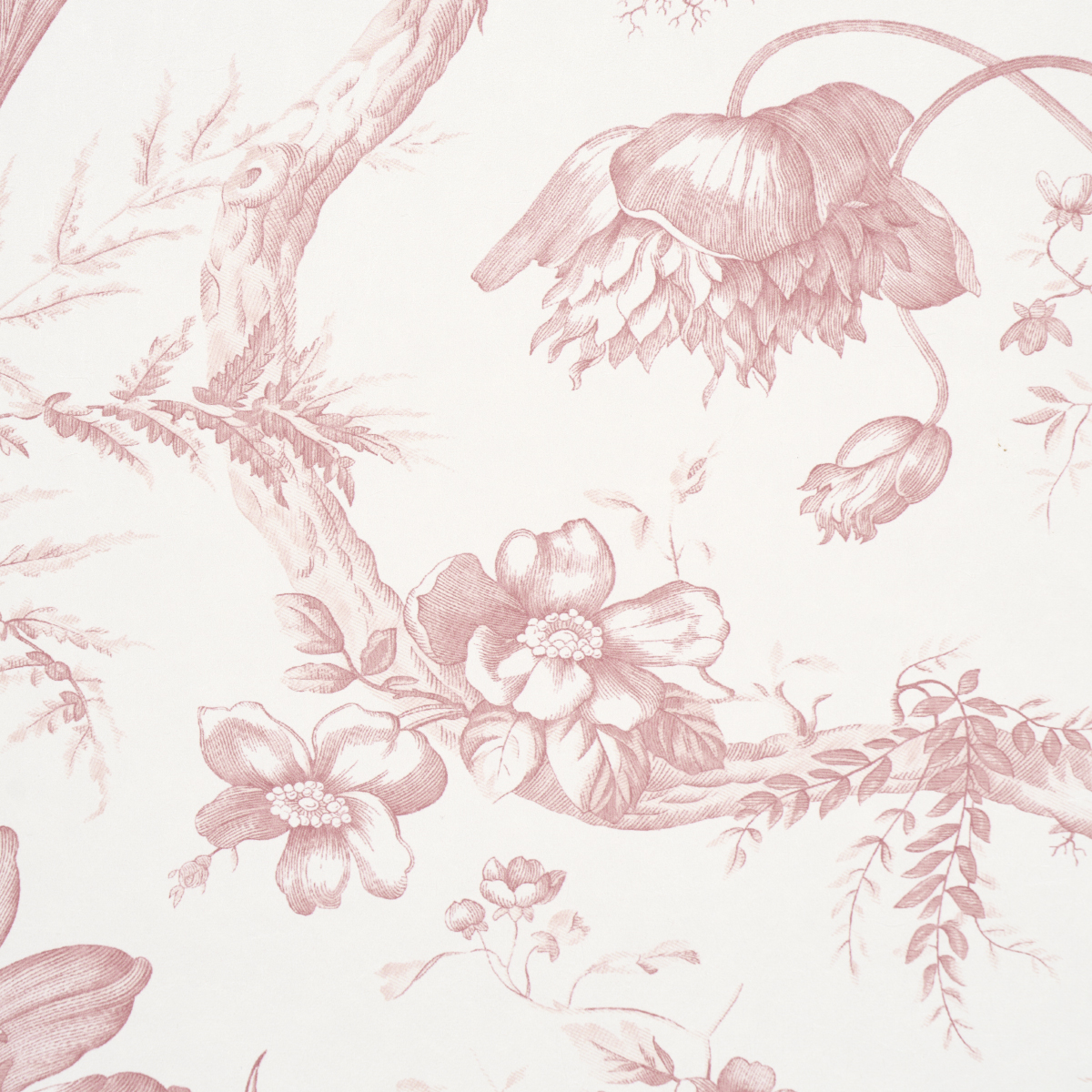 Toile De Fleurs gallery 3