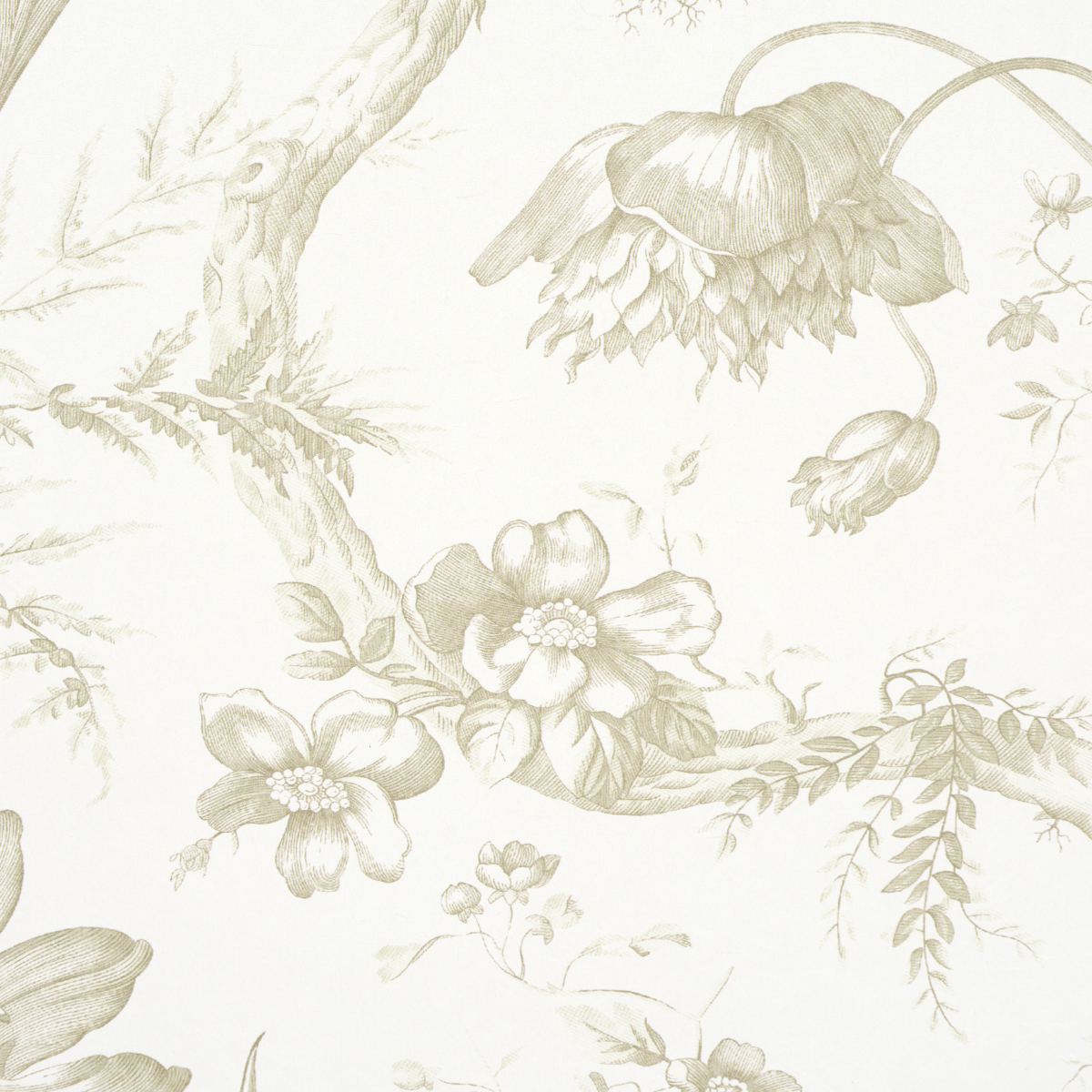 Toile De Fleurs gallery 3