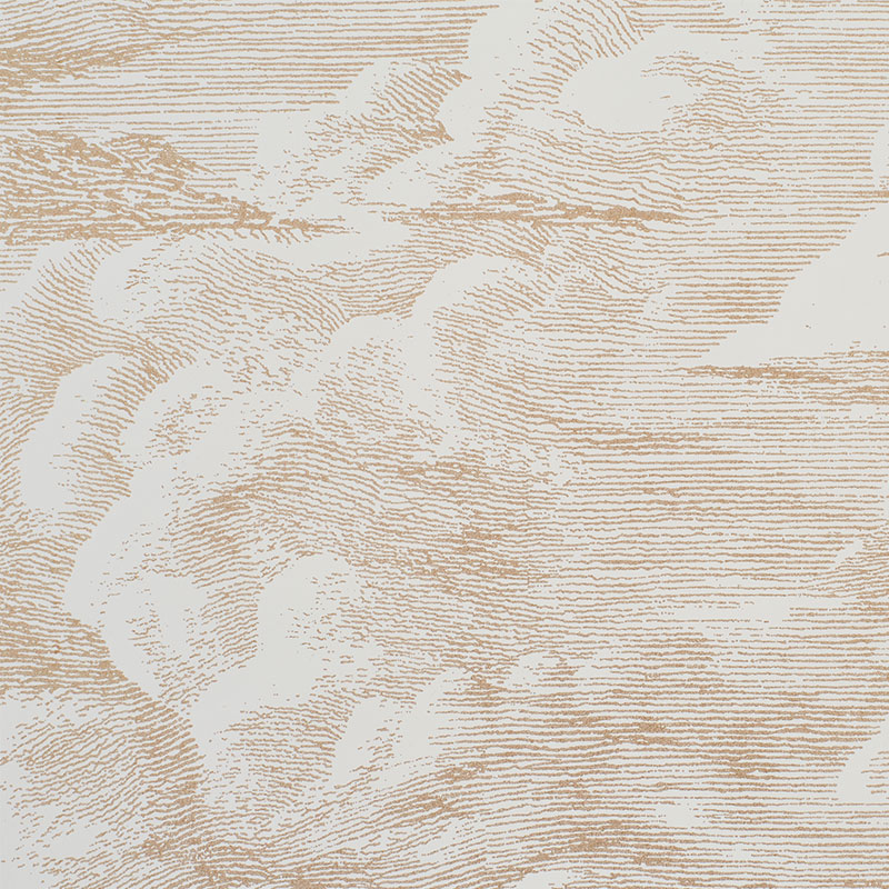 CLOUD TOILE gallery 1