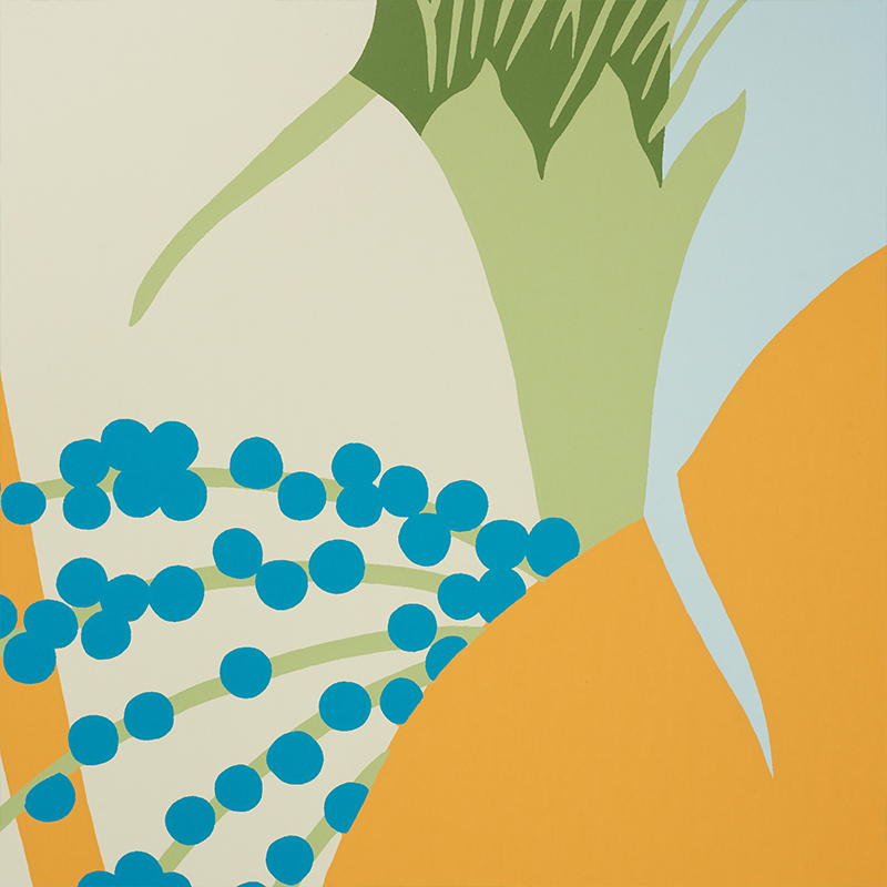 ANANAS gallery 1