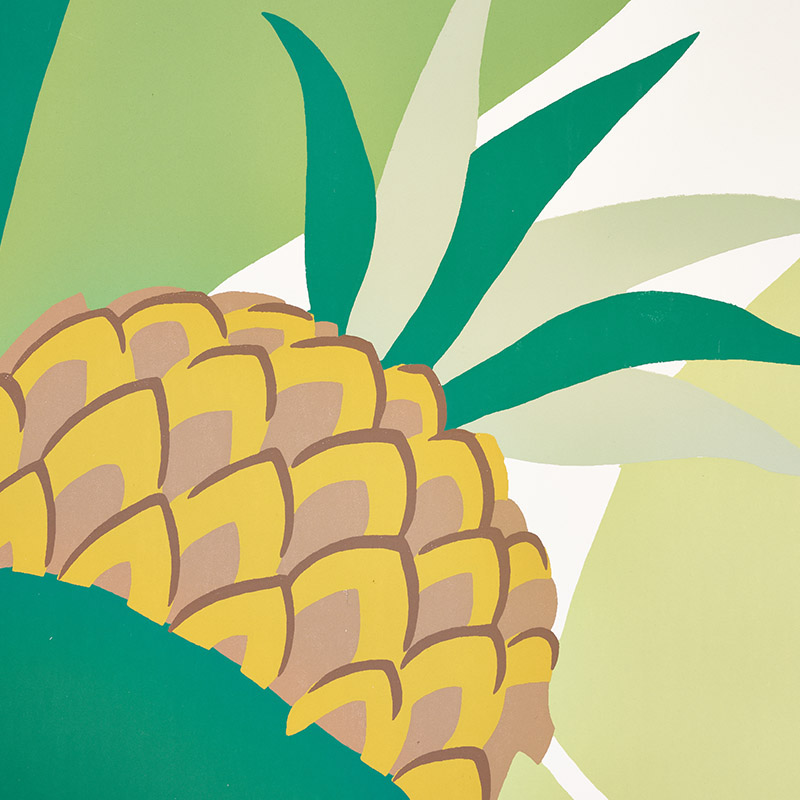 ANANAS gallery 2