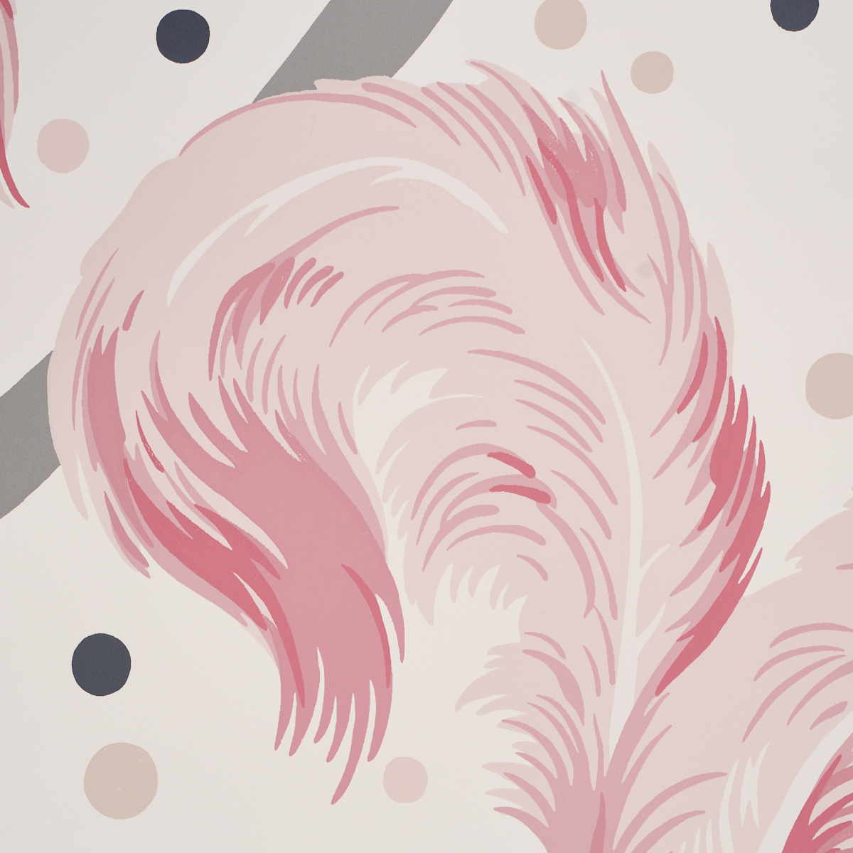 PLUMES ET RUBANS gallery 2