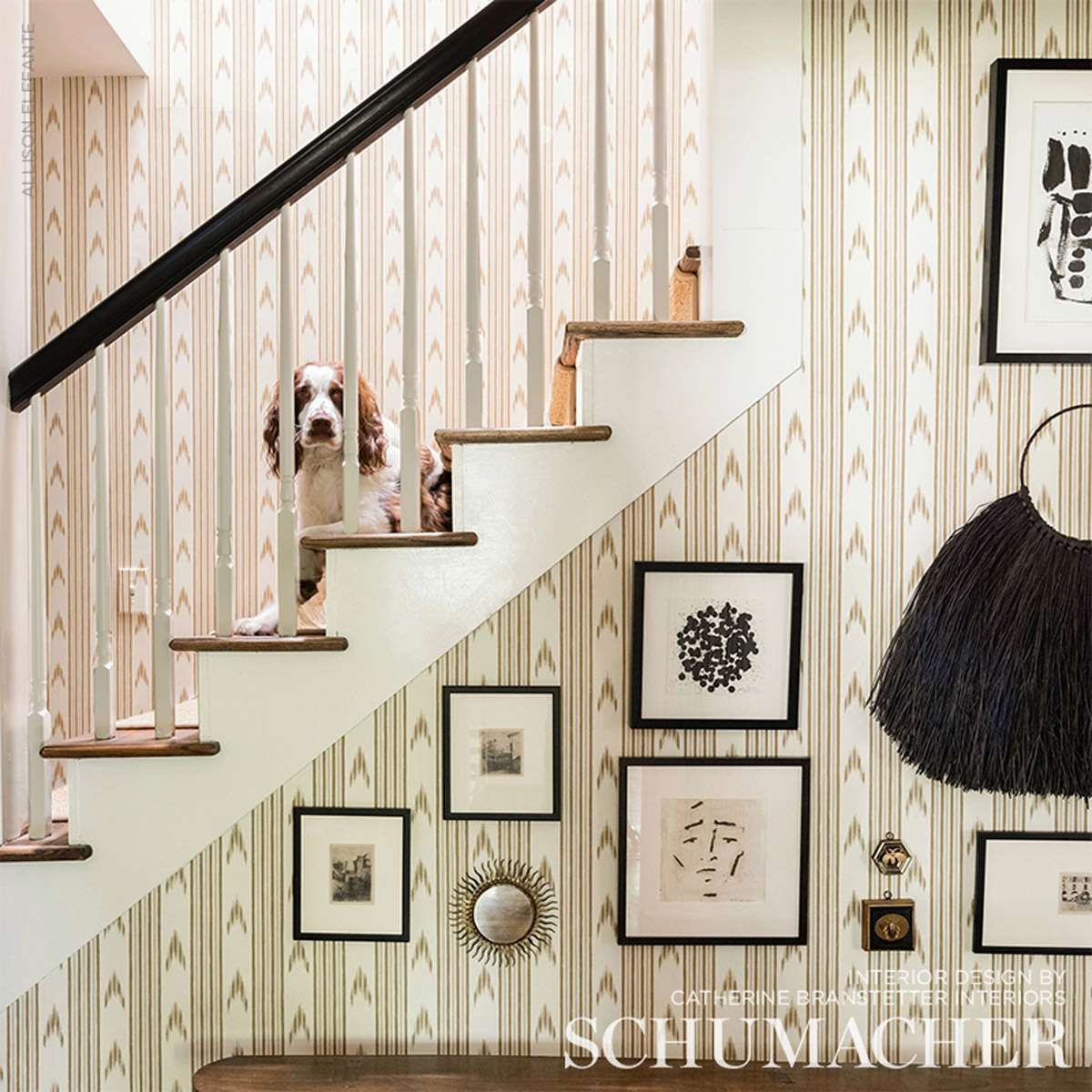 SANTA BARBARA IKAT gallery 4