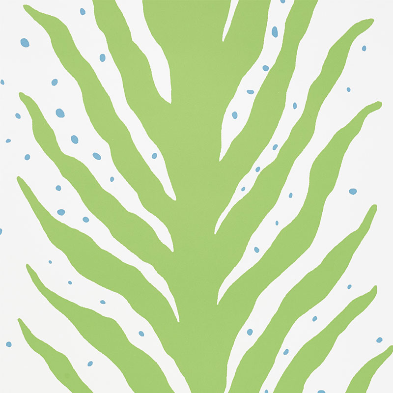 CREEPING FERN gallery 1
