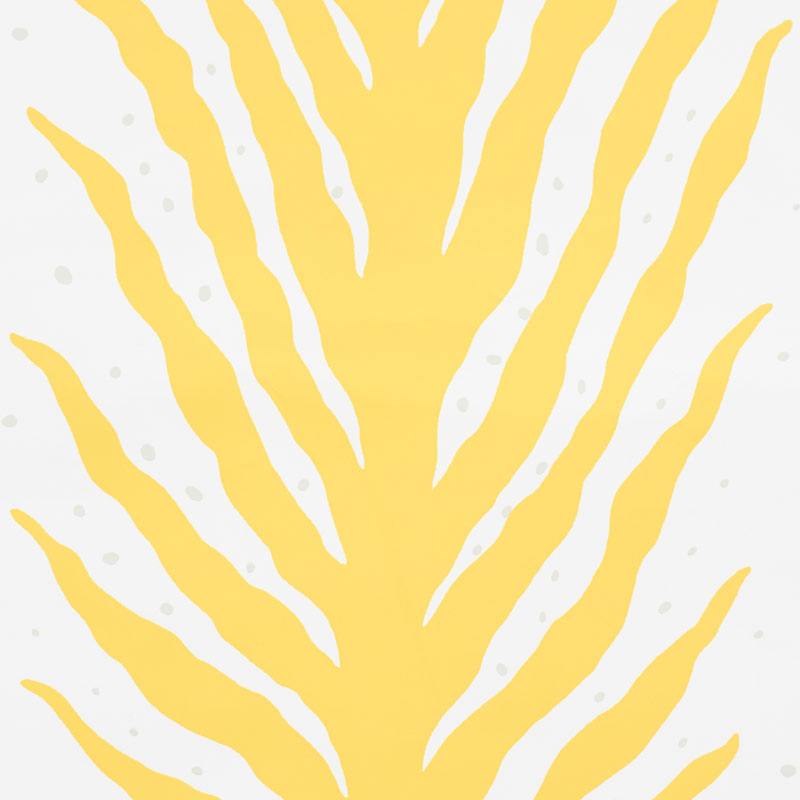CREEPING FERN gallery 1