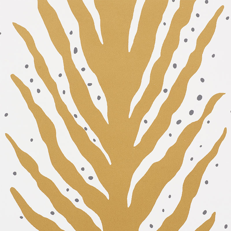 CREEPING FERN gallery 1