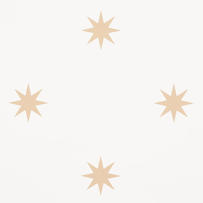 STARGAZE gallery 1