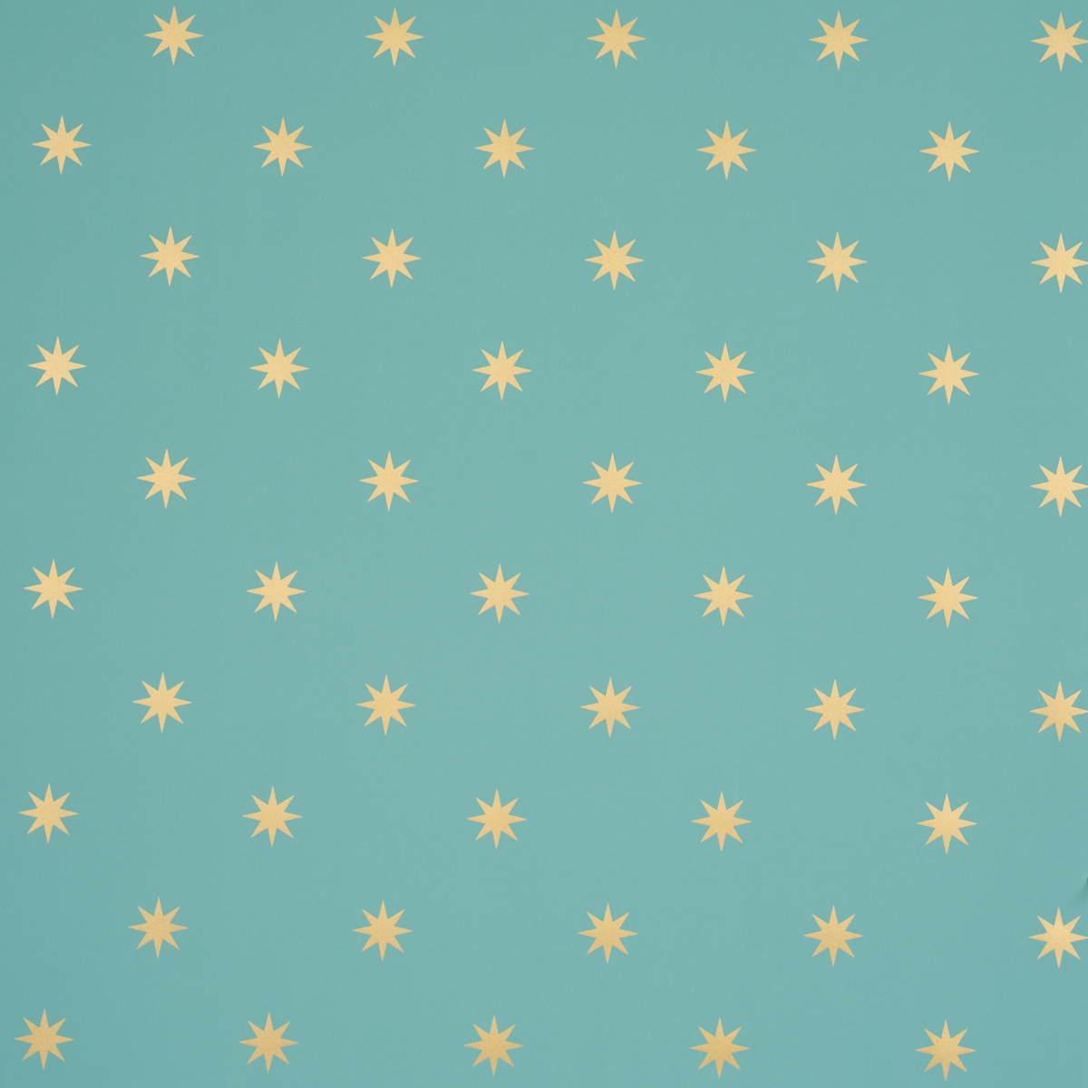 Stargaze wallpaper in GRAND CENTRAL