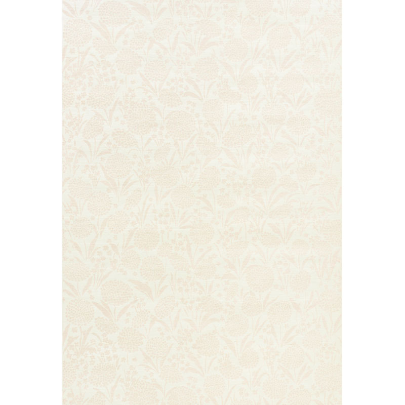 Chrysanthemum Sisal gallery 1