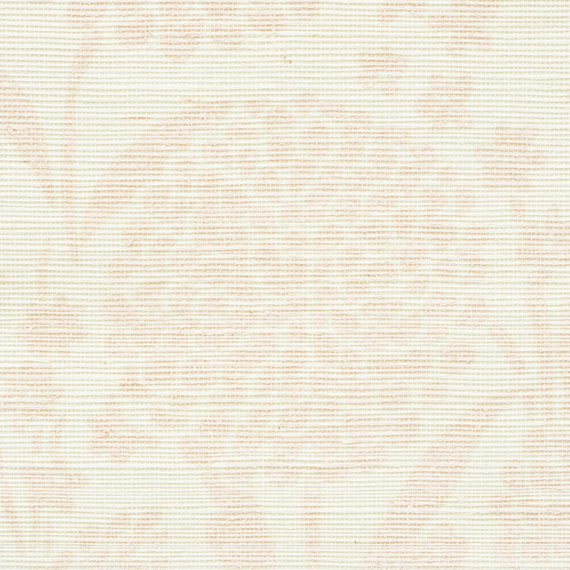Chrysanthemum Sisal gallery 2