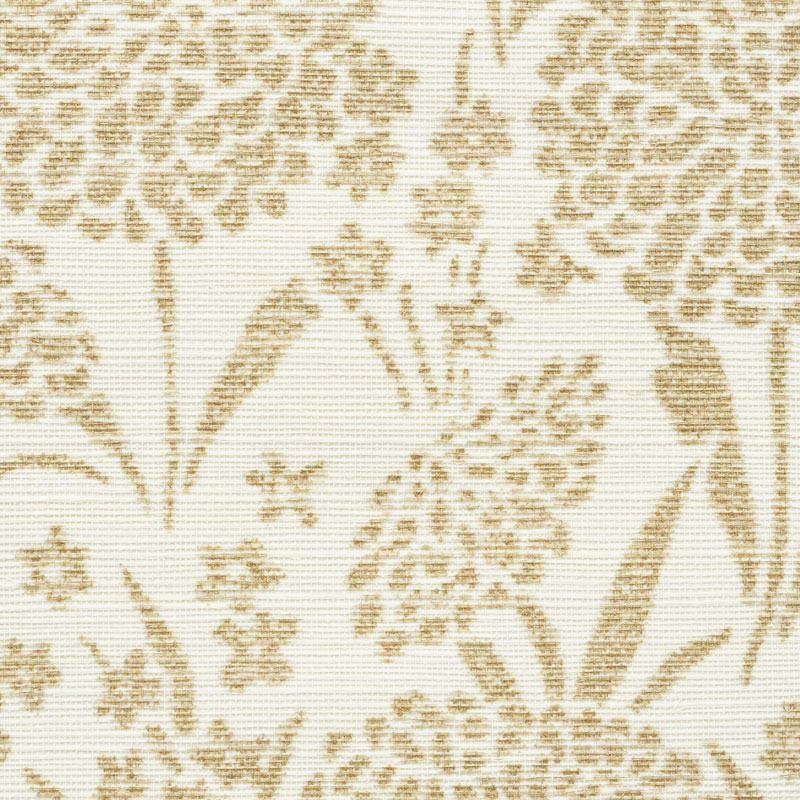 Chrysanthemum Sisal gallery 2