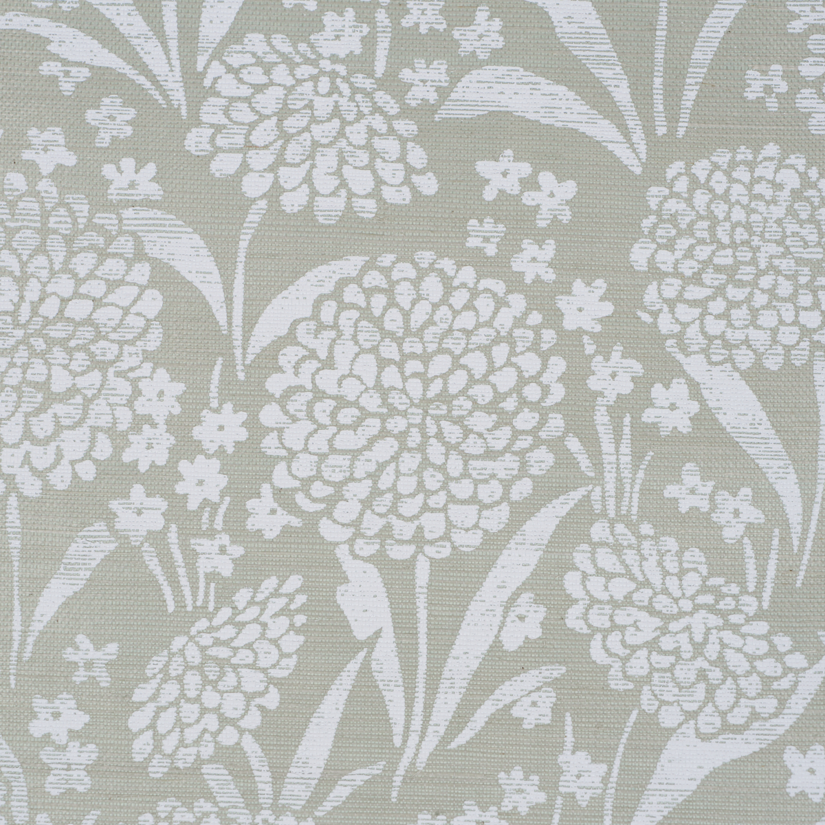 Chrysanthemum Sisal gallery 2