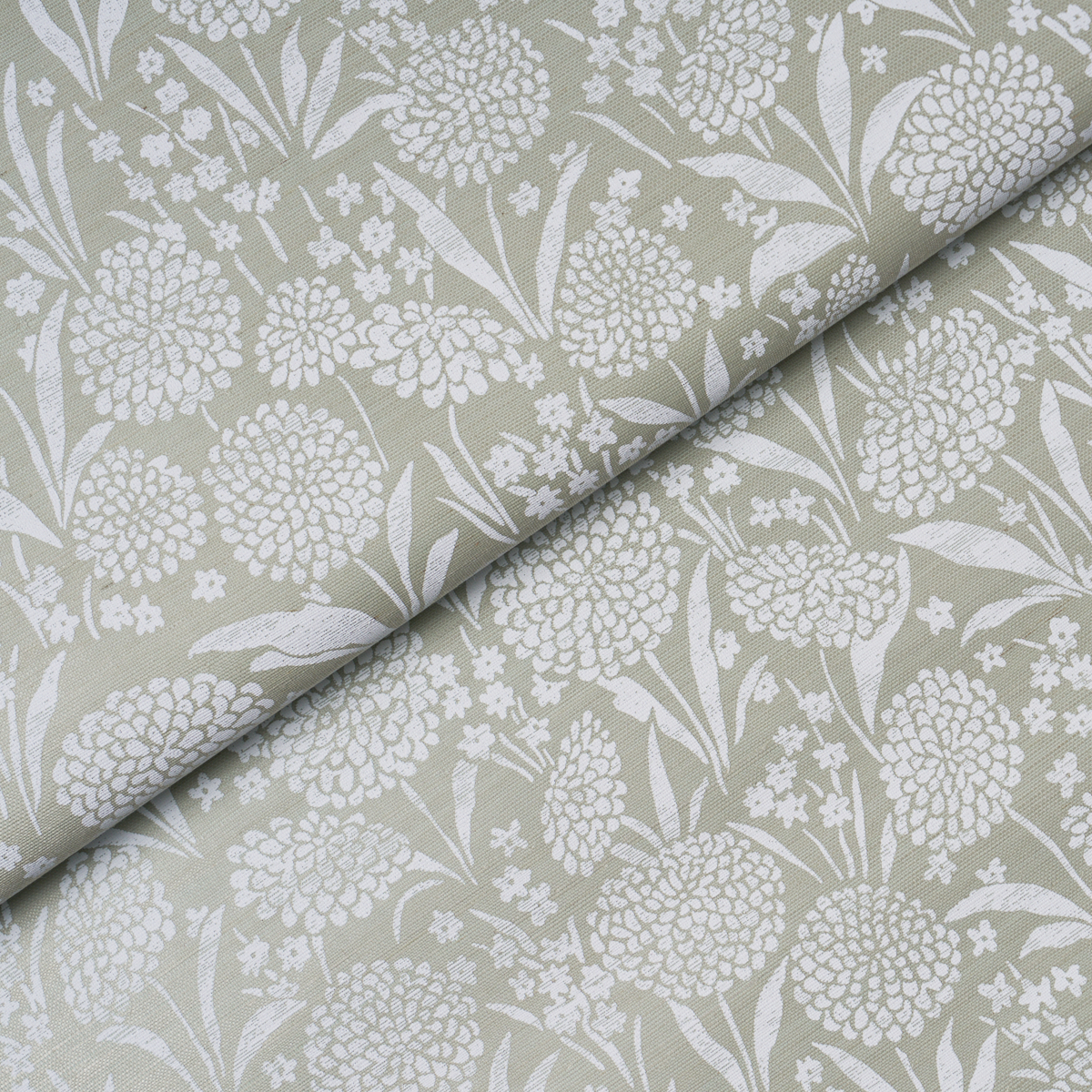 Chrysanthemum Sisal gallery 3