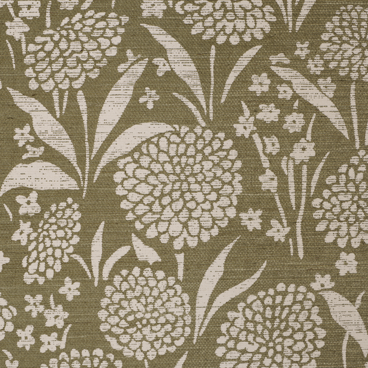 Chrysanthemum Sisal gallery 2