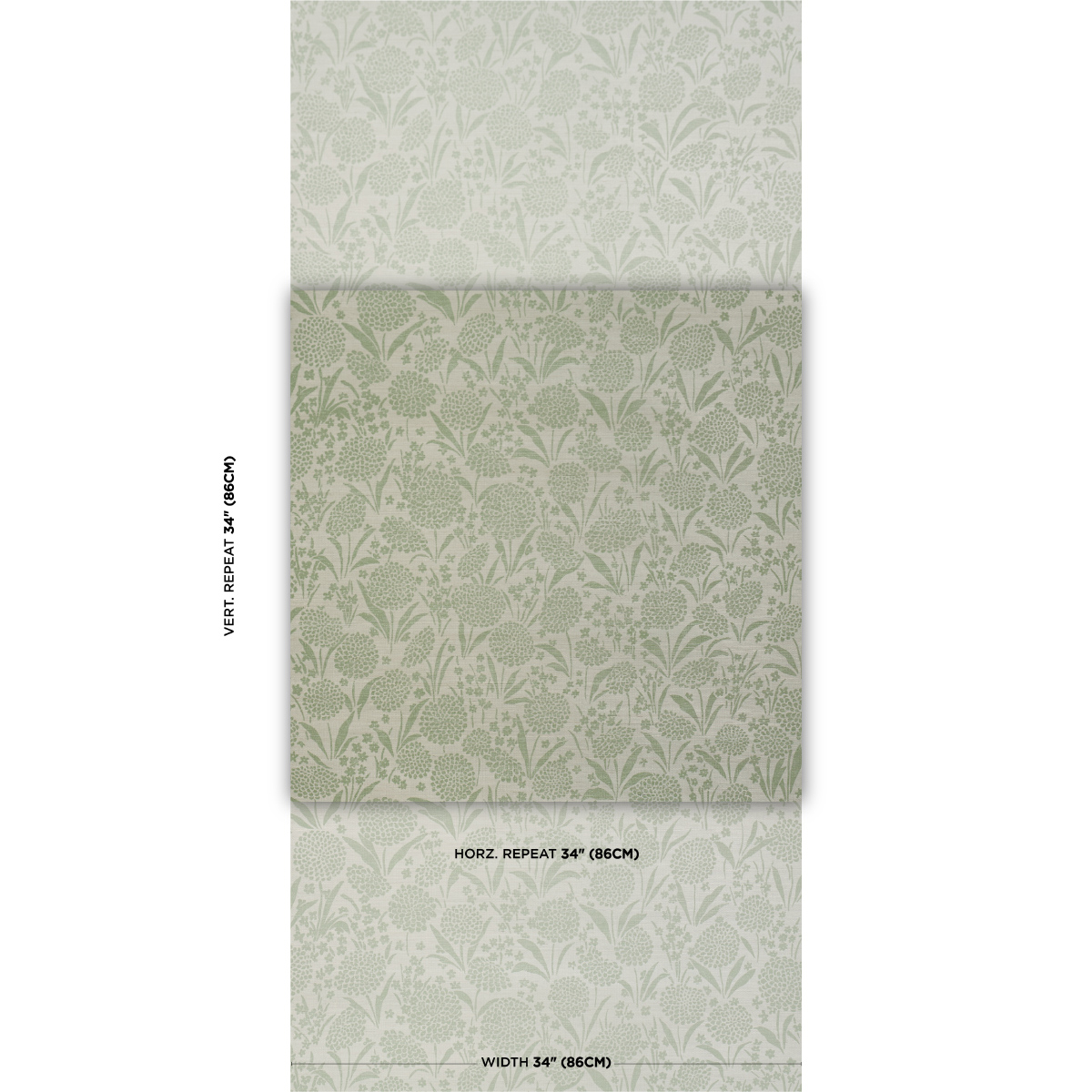 Chrysanthemum Sisal gallery 1