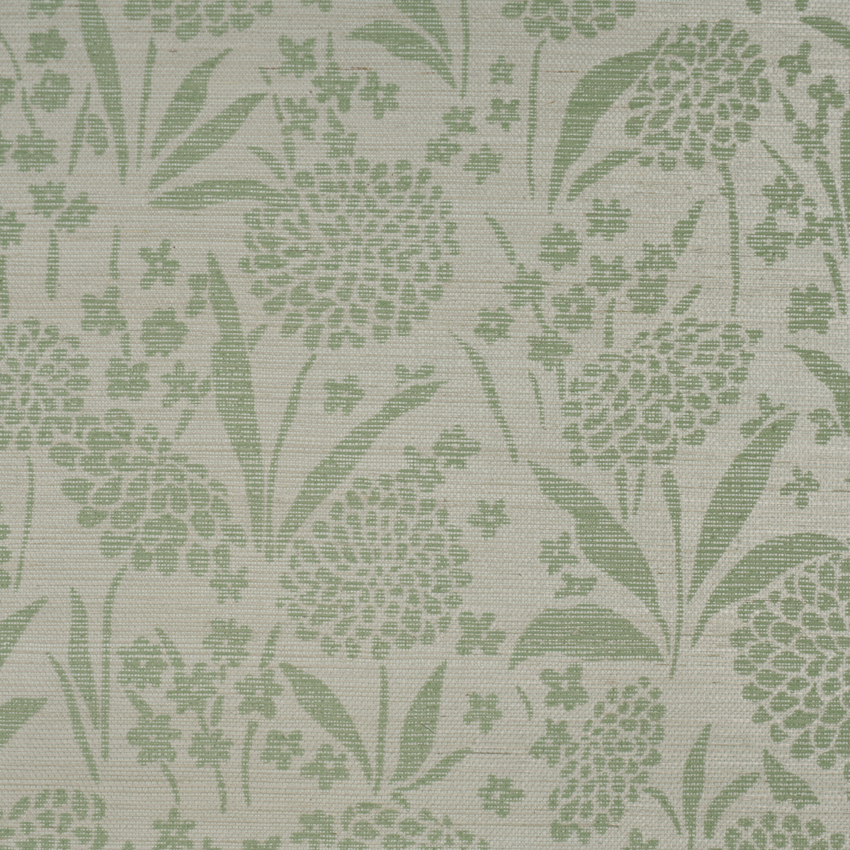 Chrysanthemum Sisal gallery 2