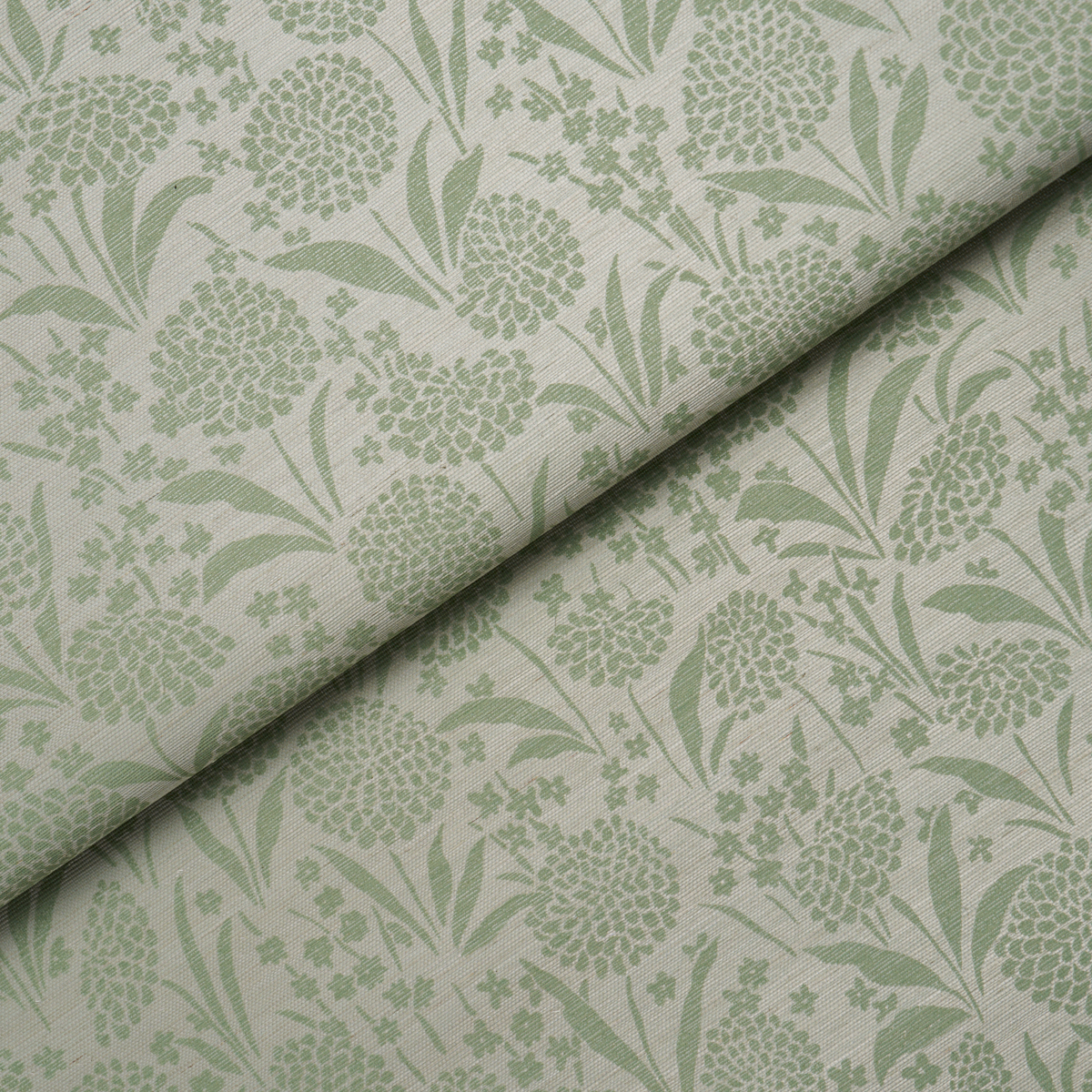 Chrysanthemum Sisal gallery 3