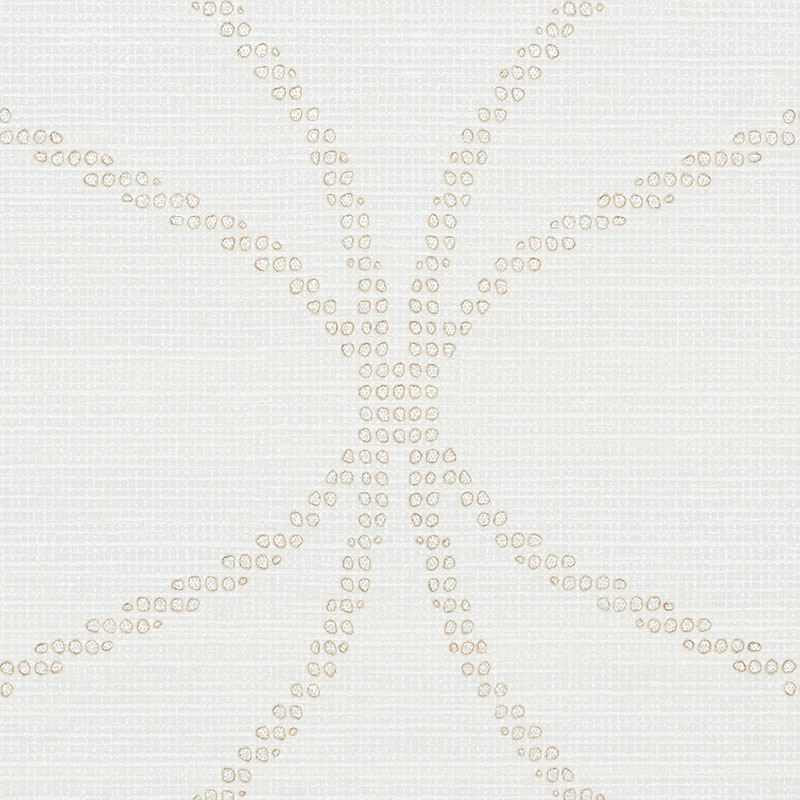 CASAVOLA gallery 2