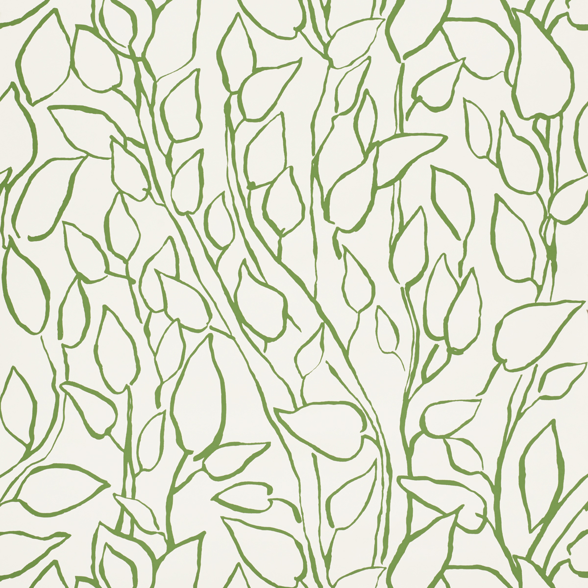 SOLANDRA VINE — LEAF