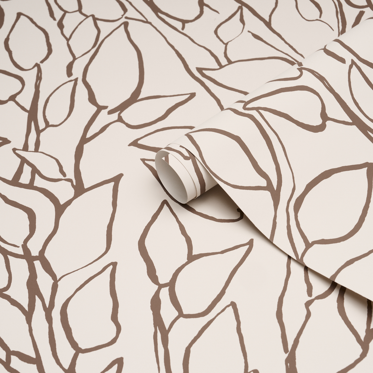 SOLANDRA VINE gallery 3