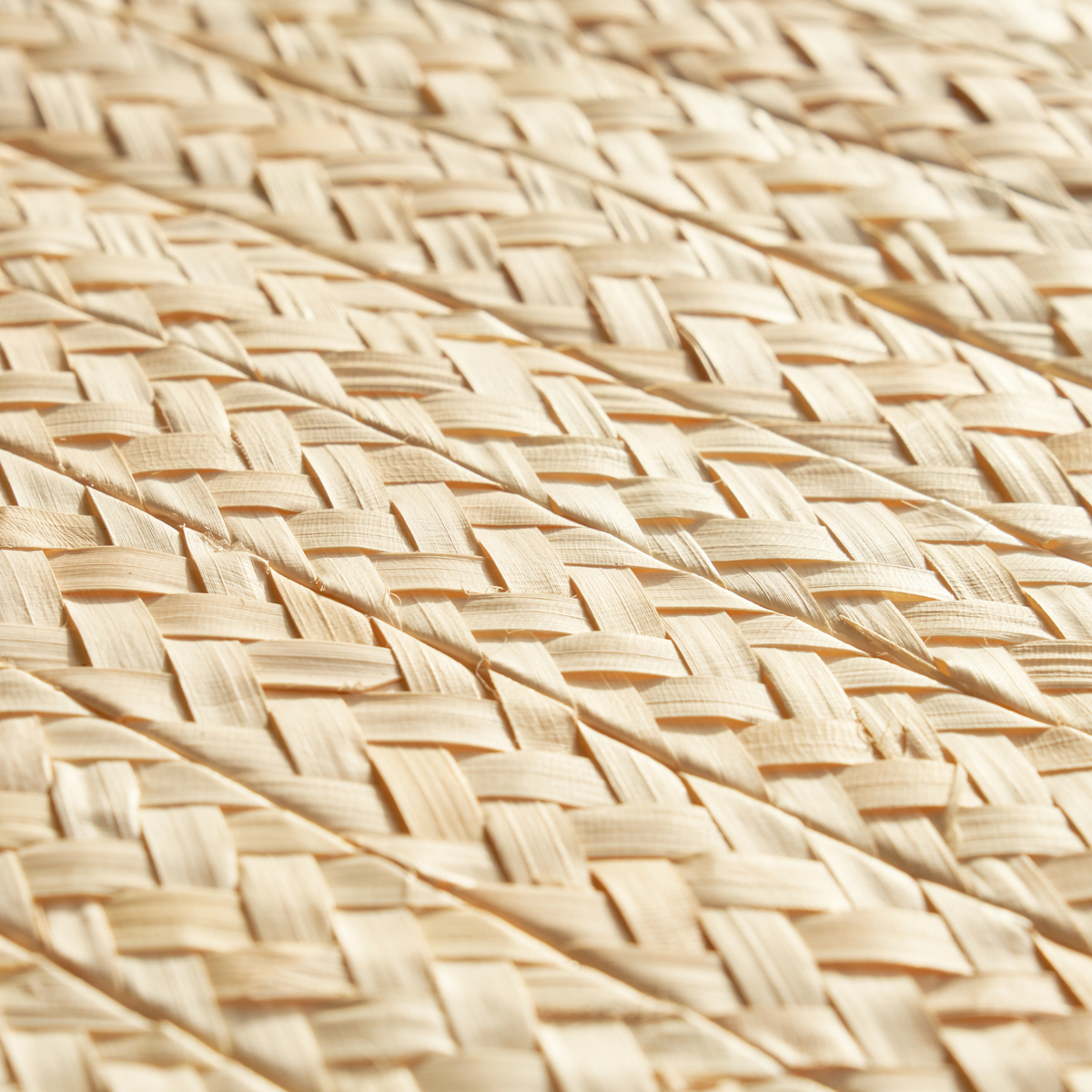 BRAIDED BURI gallery 3