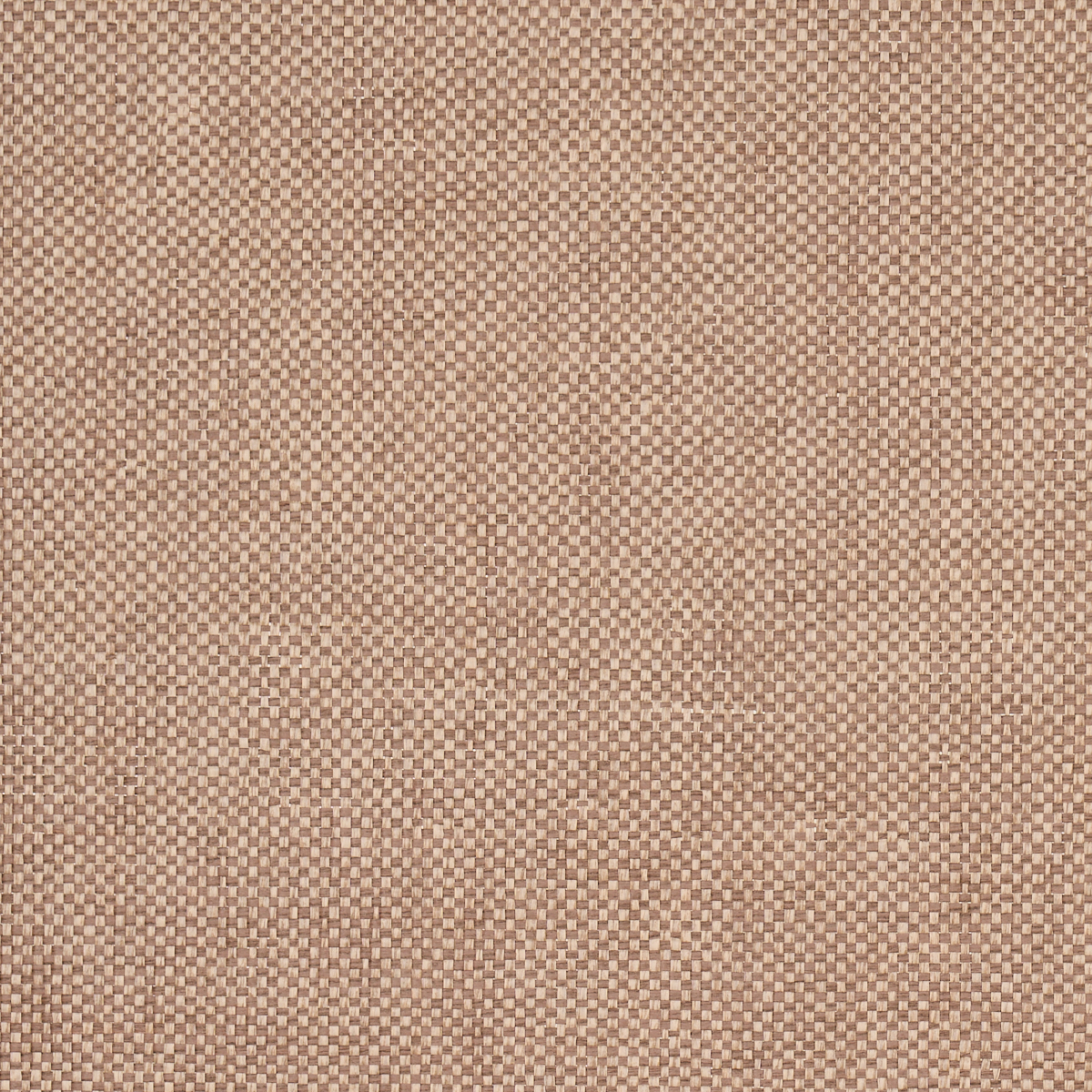 TONAL PAPERWEAVE — BARK