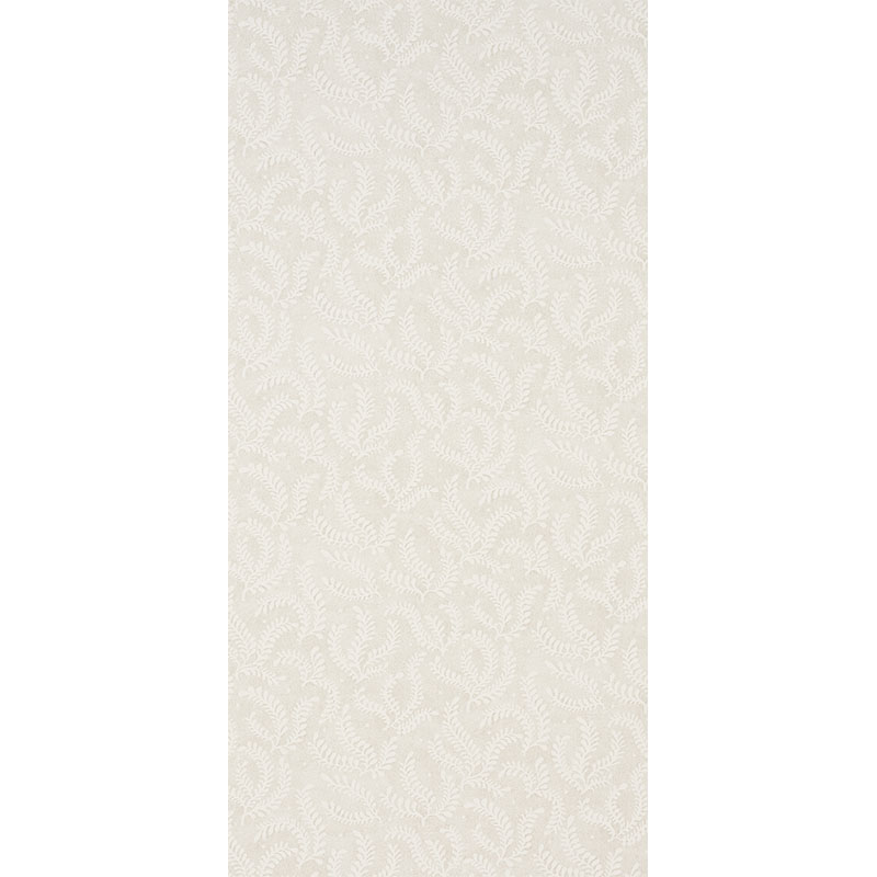 Etched Fern gallery 1