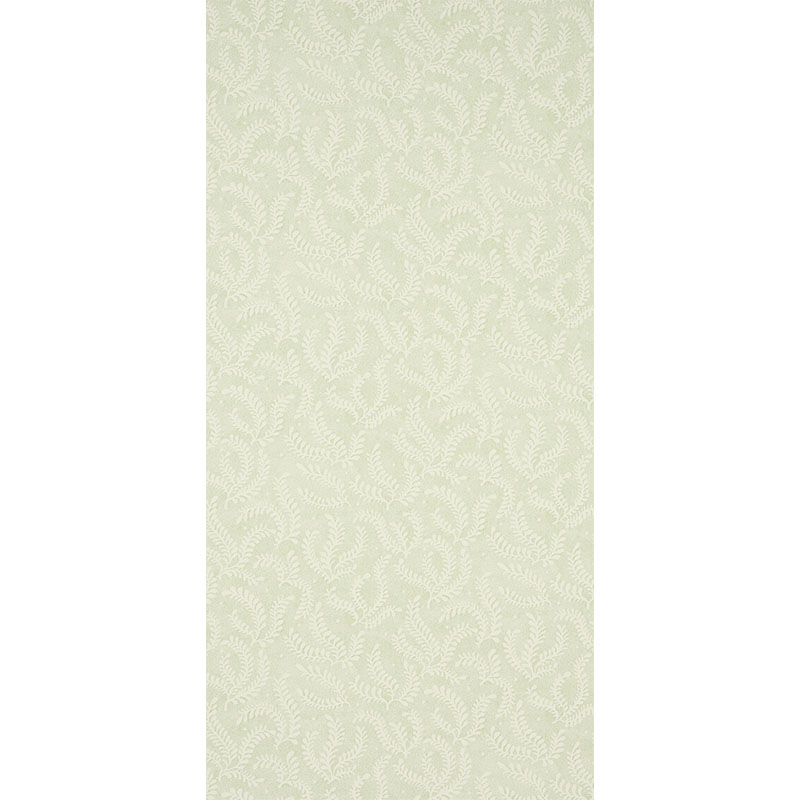 Etched Fern gallery 1