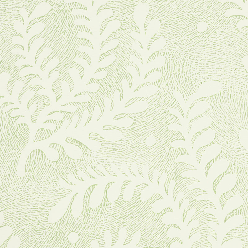 Etched Fern gallery 2
