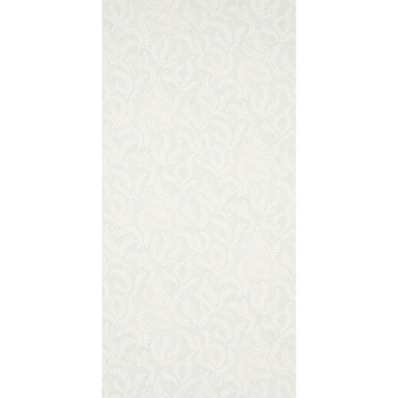 Etched Fern gallery 1