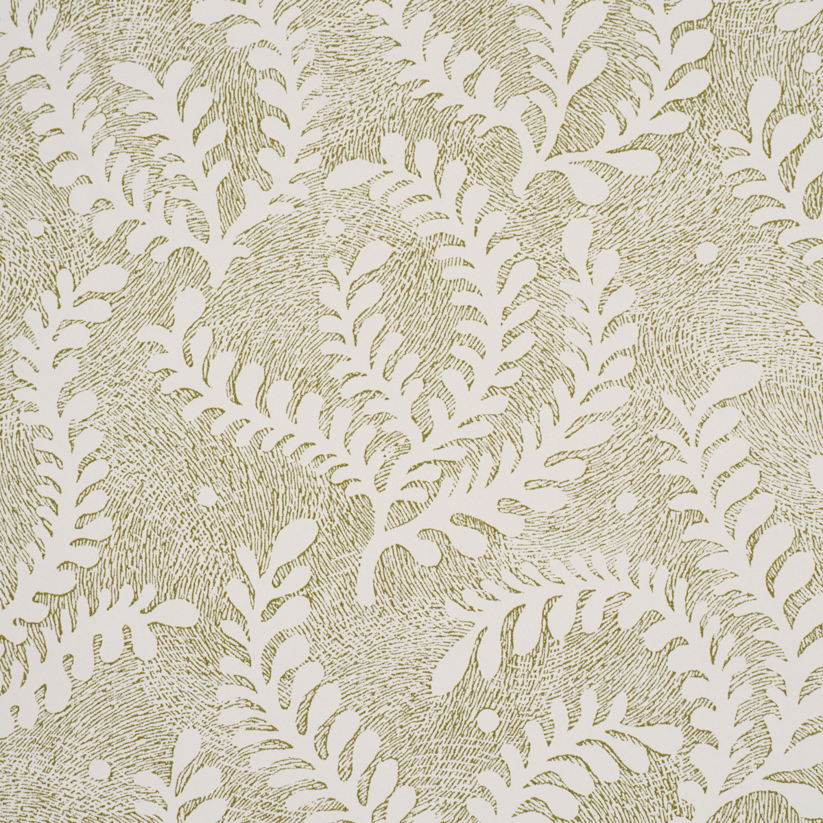 Etched Fern gallery 2