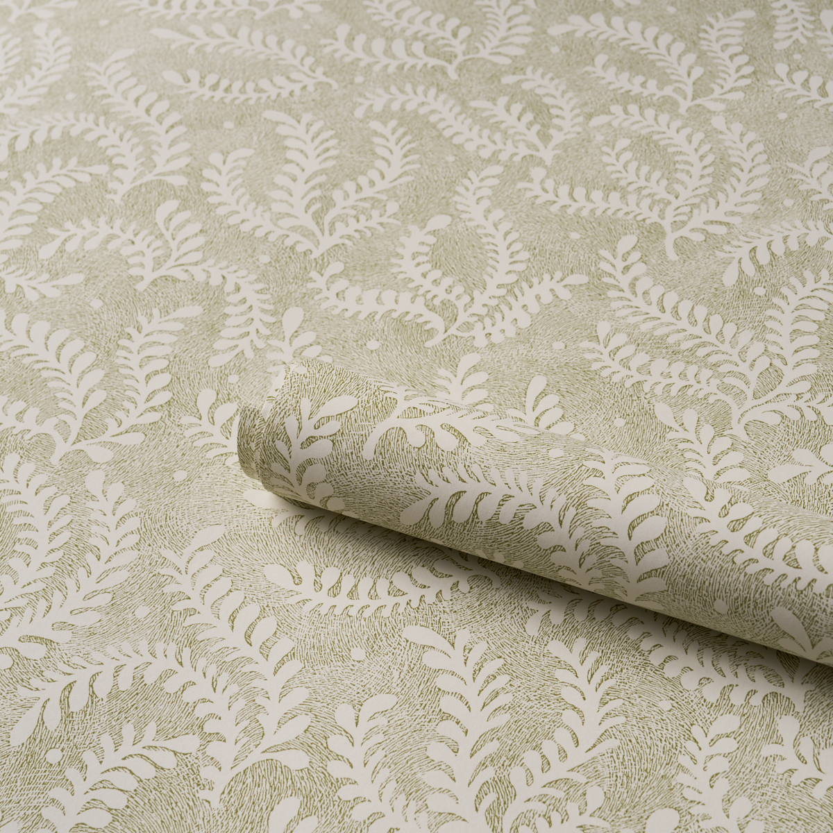 Etched Fern gallery 3