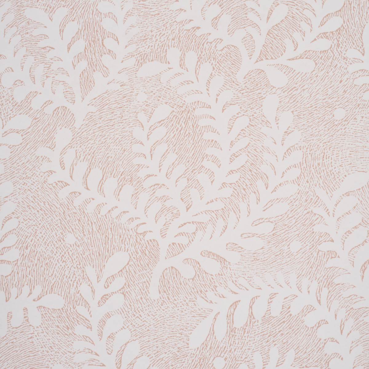 Etched Fern gallery 2