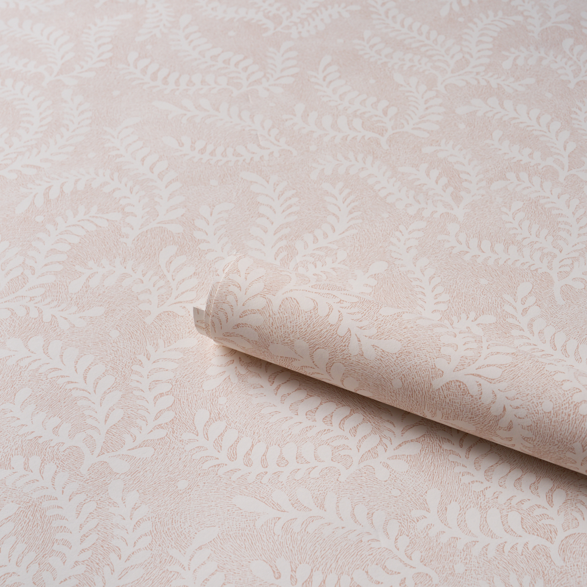 Etched Fern gallery 3