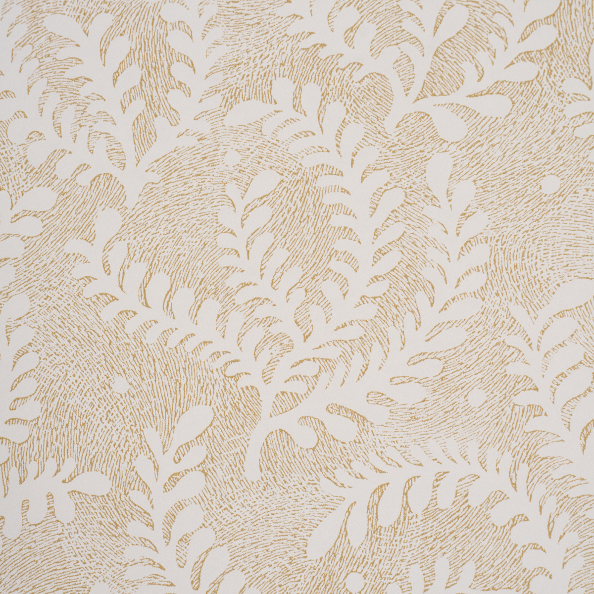 Etched Fern gallery 2
