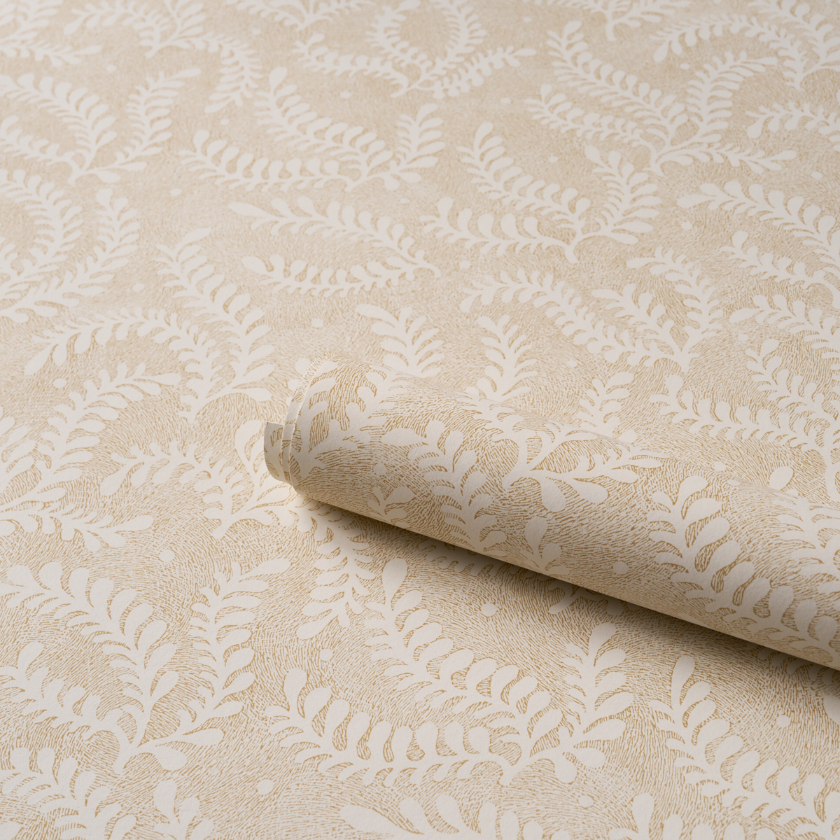 Etched Fern gallery 3