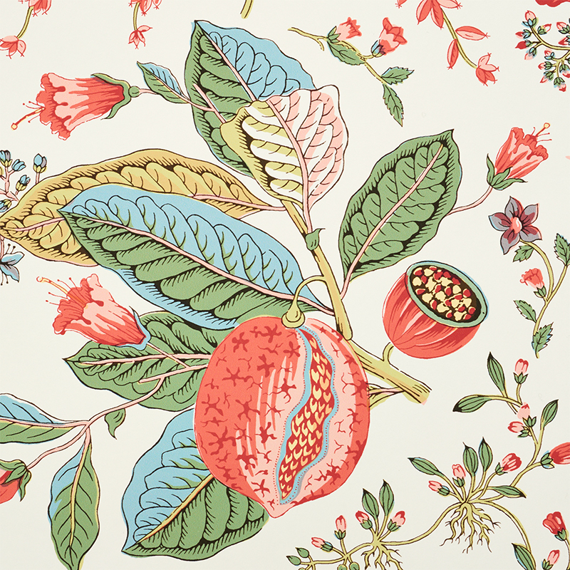 POMEGRANATE BOTANICAL gallery 2