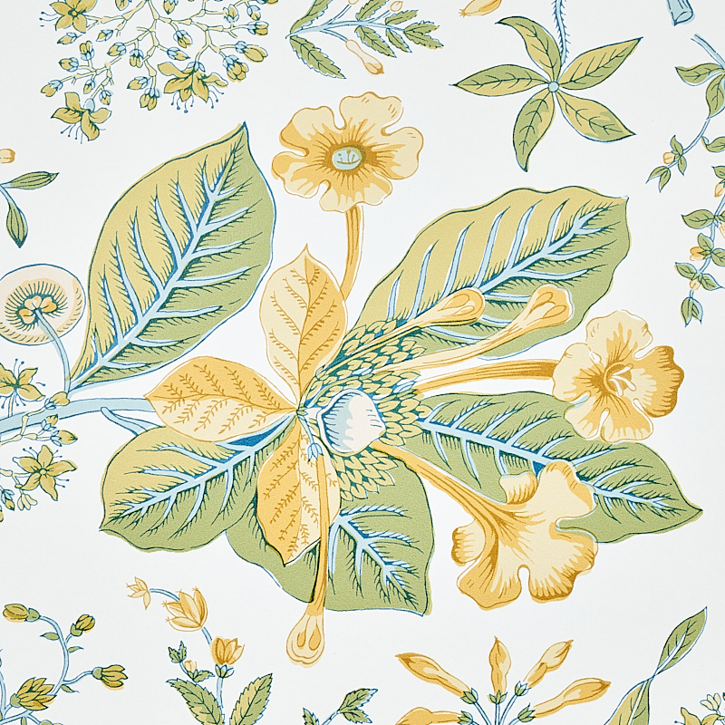 POMEGRANATE BOTANICAL gallery 3