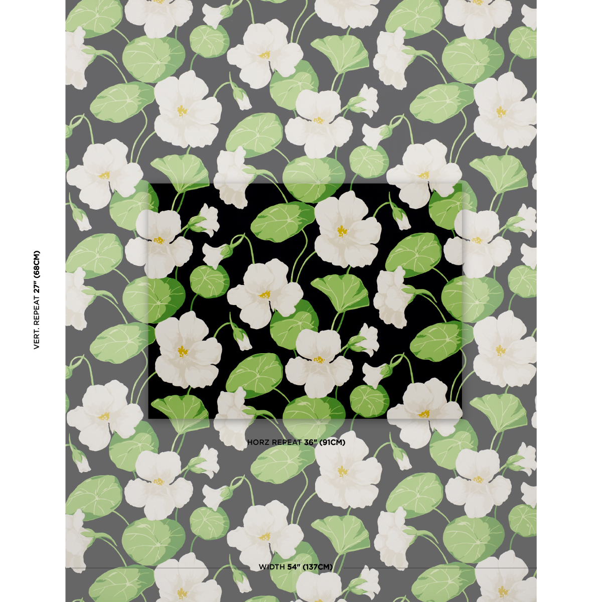 NASTURTIUM gallery 1