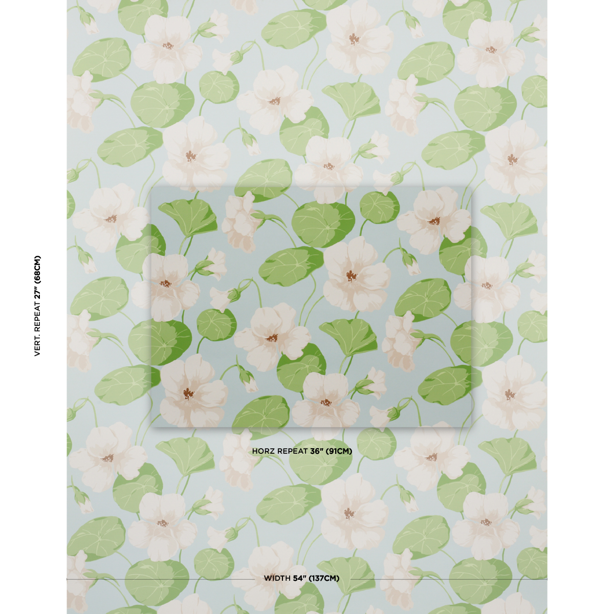 NASTURTIUM gallery 1