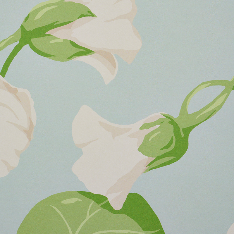 NASTURTIUM gallery 2