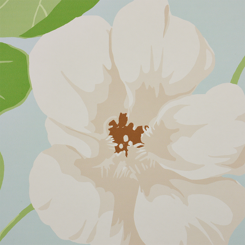 NASTURTIUM gallery 3