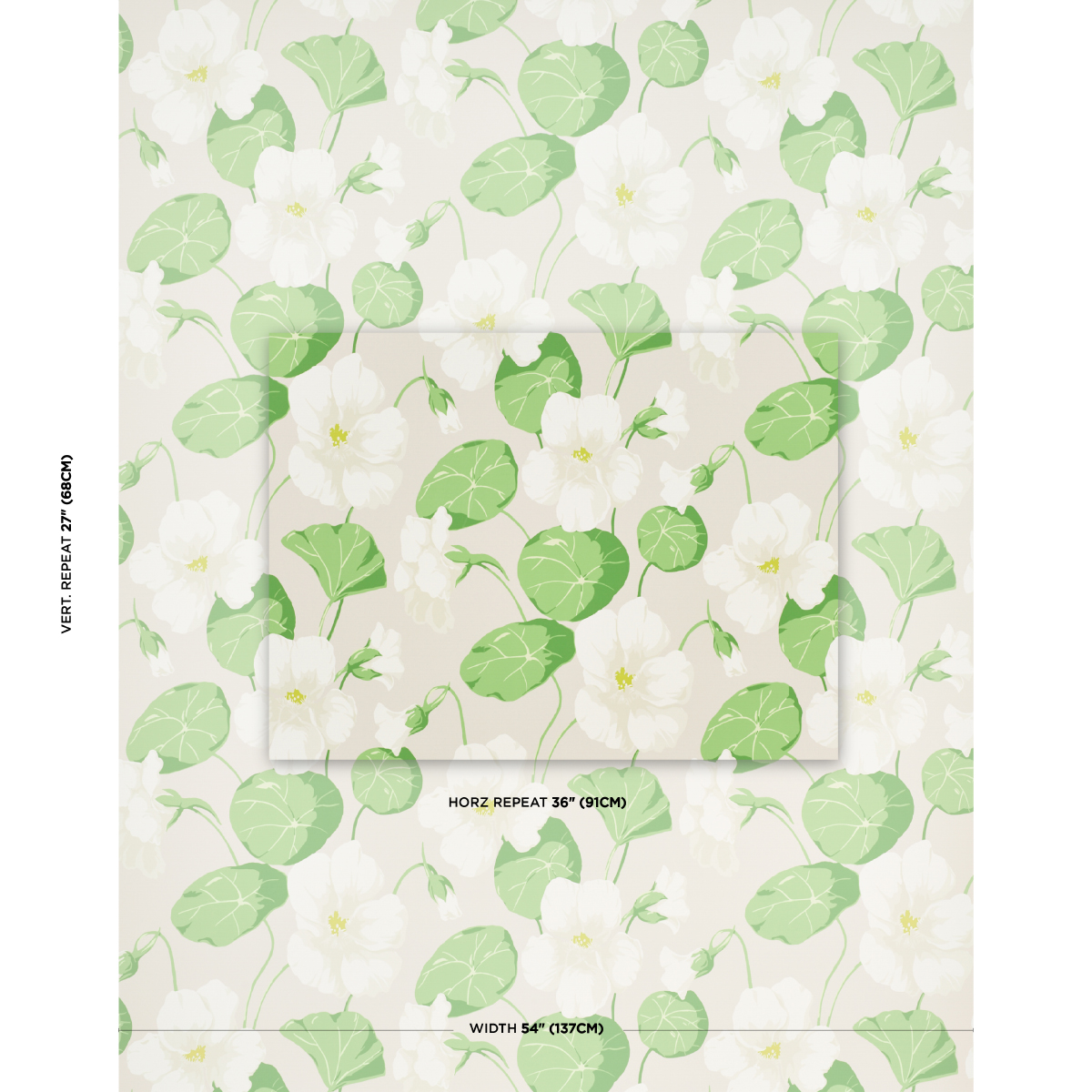 NASTURTIUM gallery 1