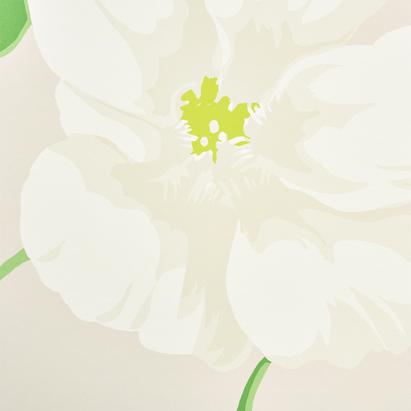 NASTURTIUM gallery 3