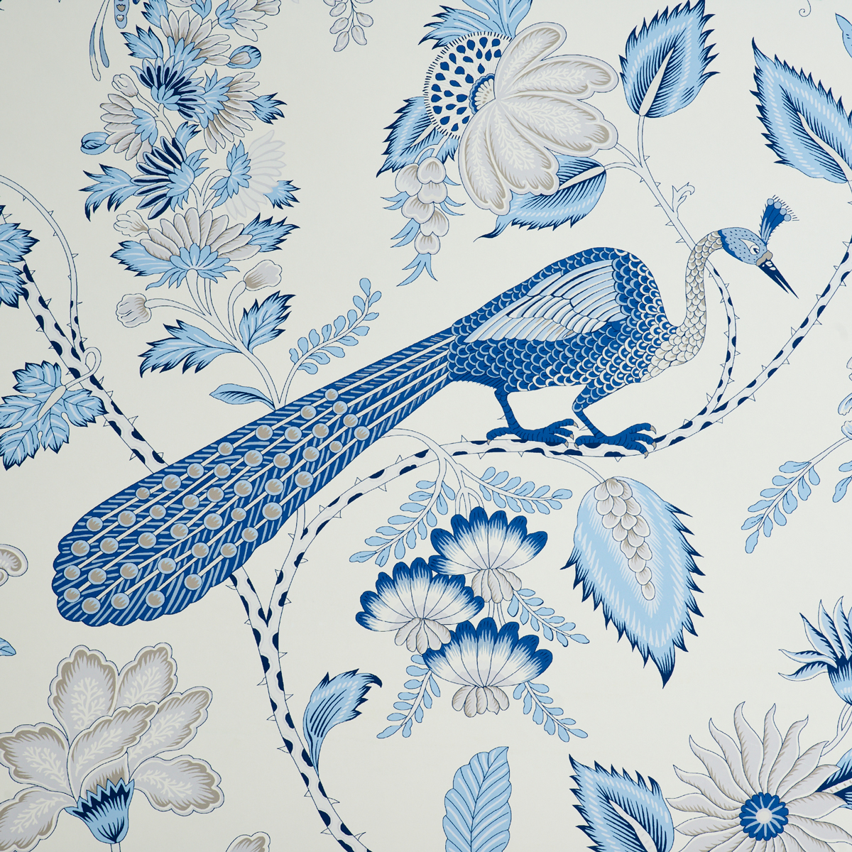 CAMPAGNE — BLEU & GRIS