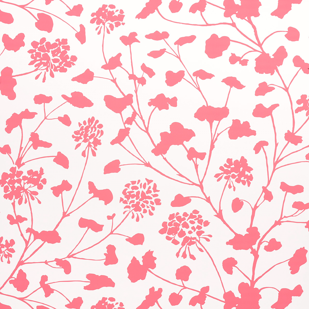 CORAL ON IVORY