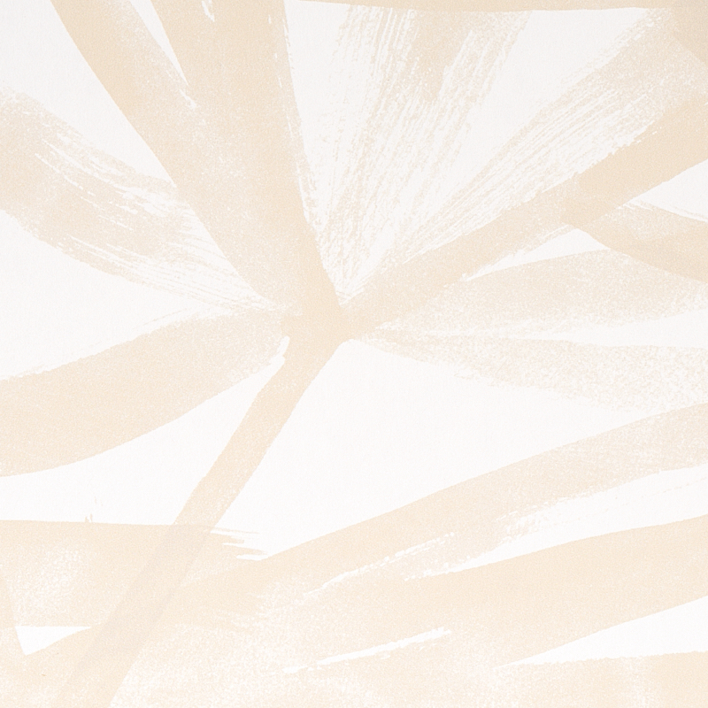 SUNLIT PALM gallery 2