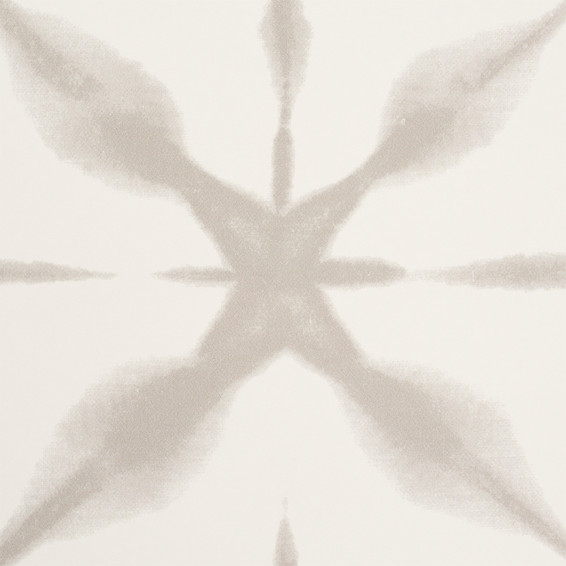ANDROMEDA gallery 2